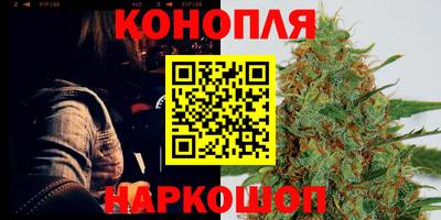винт Новозыбков