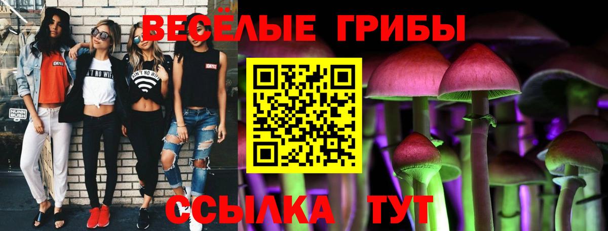 Галлюциногенные грибы прущие грибы Советская Гавань